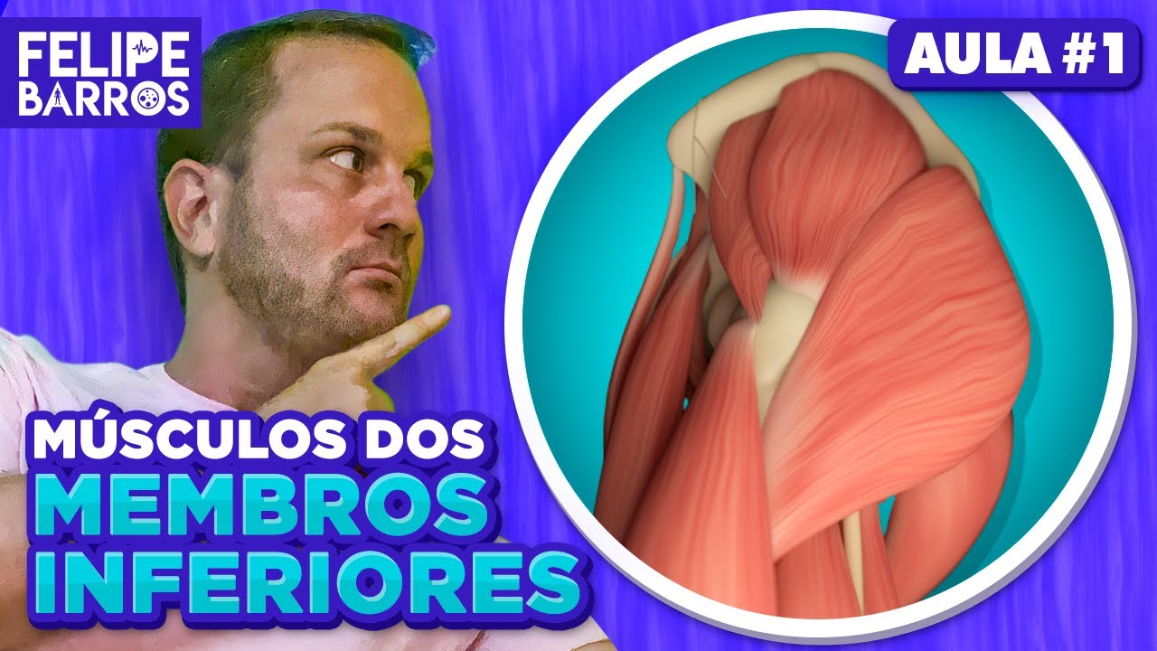 MÚSCULOS DOS MEMBROS INFERIORES (MMII) l Prof. Felipe Barros