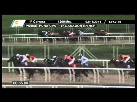 Balleroy - Las Piedras - Pico Perdomo - 02/11/2014