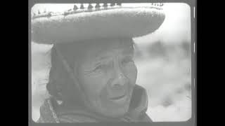 Reforma Agraria (1969)