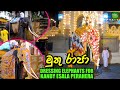 Muthu Raja | Dressing Elephants for Kandy Esala Perahera 2020 (With English Subtitles)