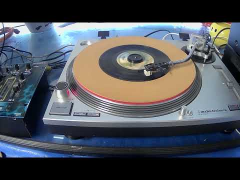 Daisy Jane l America l 1975 l Styrene