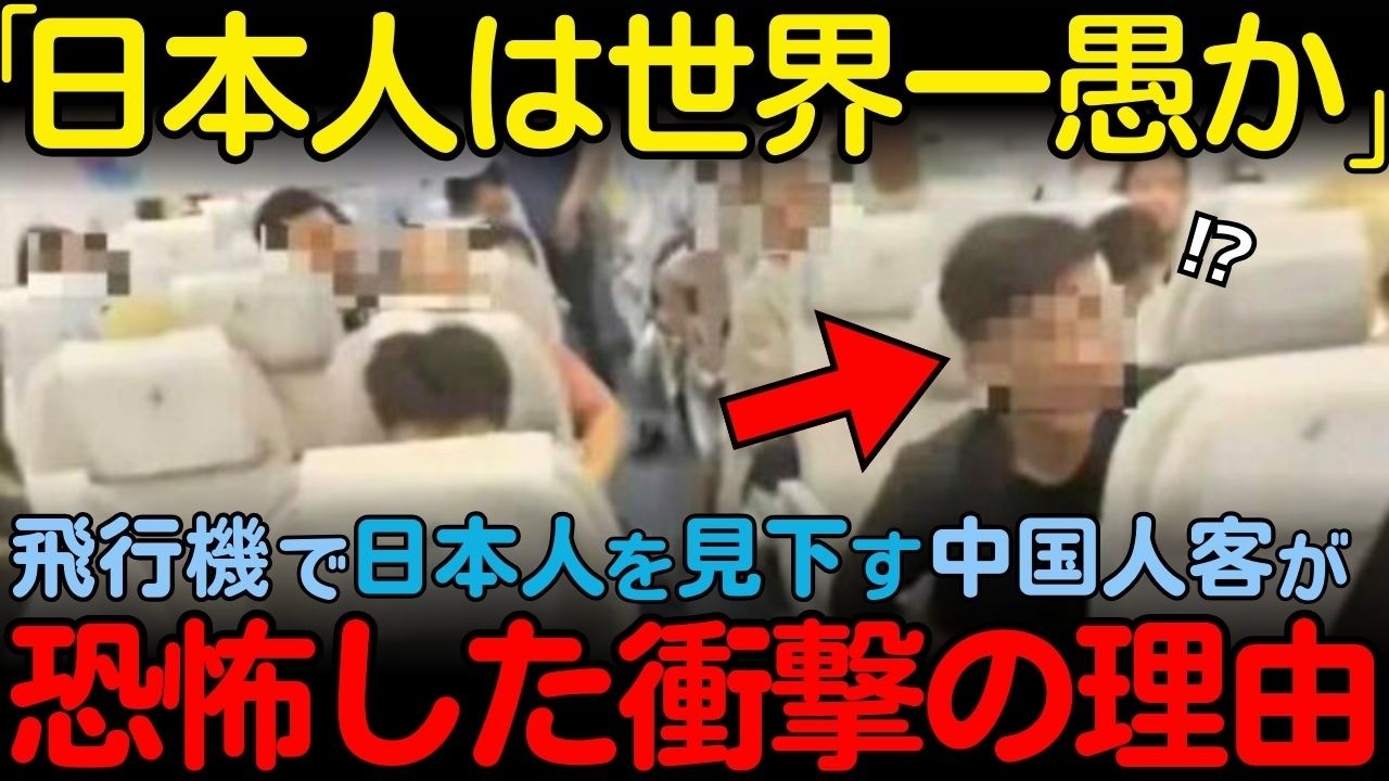 【海外の反応】「日本人は世界で一番下」飛行機内で日本人の悪口を言う中国人客...直後発言を後悔することに...【その他一本】