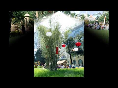 Ta đã gặp mùa xuân Sheet - Hương Lan