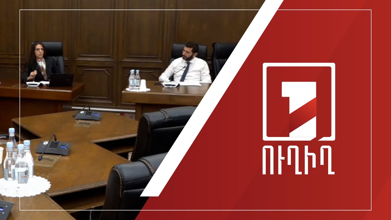 2024-ի պետբյուջեի կատարողականը՝ ԱԺ մշտական հանձնաժողովների համատեղ նիստում | ՈՒՂԻՂ