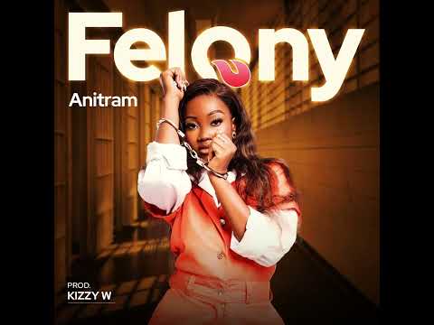 Anitram-Felony (Official visualizer)