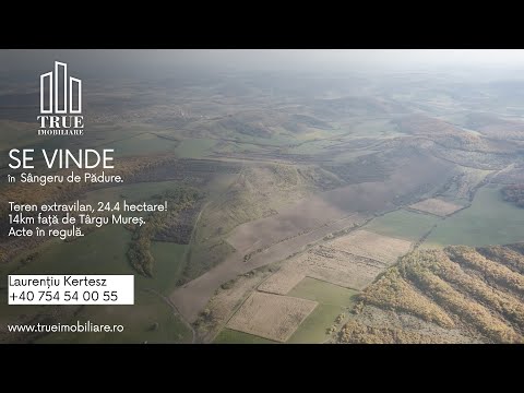 Teren extravilan 26.66 hectare, Sângeru de Pădure, Mureș!