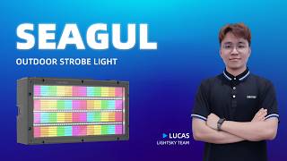 What if your strobes could be part of something bigger?