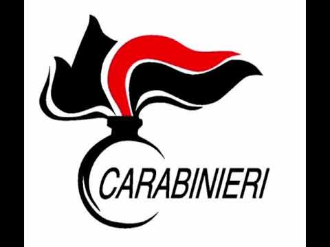 Blitz dei carabinieri nell’allevamento abusivo