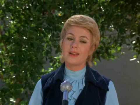 Walking in the Rain - The Partridge Family