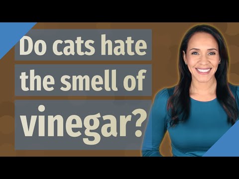 Do cats hate the smell of vinegar?