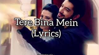 Download lagu Tere Bina Main (Lyrics) mp3