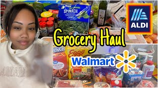 Walmart and Aldi Grocery Haul $224 #walmart #aldi #groceryhaul 