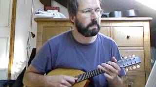 Ukrainian folk: Gregor (arr. Felix Petyrek), on mandolin
