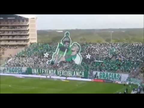 "TIFO: Homenaje para el "PECOSO CASTRO" | Frente Radical - Dep Cali (Colombia)  22.10.2016" Barra: Frente Radical Verdiblanco • Club: Deportivo Cali