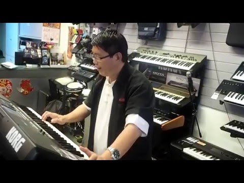 Korg PA600MY -  Happy Chinese New Year!