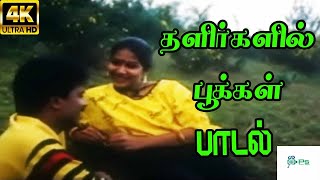 Download lagu Thalirgalil Pookkal || தளிர்களில் பூக்கள்தங்கள்||KJ Jesudas || Melody H D Song mp3 Download lagu Thalirgalil Pookkal || தளிர்களில் பூக்கள்தங்கள்||KJ Jesudas || Melody H D Song mp3