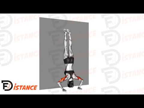 Pompes en équilibre contre le mur - Exercice Pompes en équilibre contre le mur en vidéo