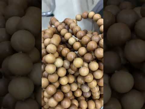 Sandalwood beaded charm bracelet (10mm)