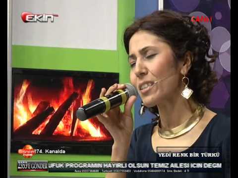 fatoş EREN arada karlı dağlarım