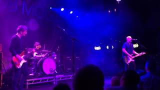 Bob Mould love is all around