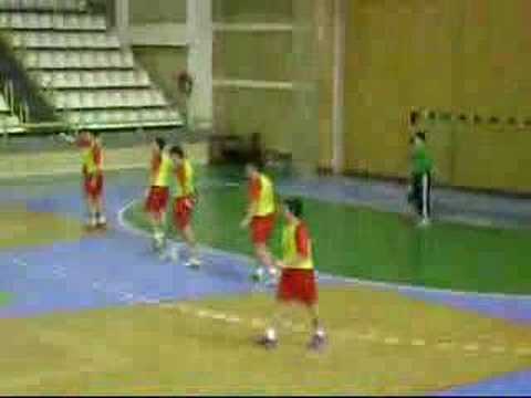 Macedonian Handball
