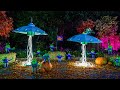 DIY Flying Saucer And Allen Pumpkins Home Family