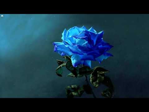 Skrux - Blue Rose