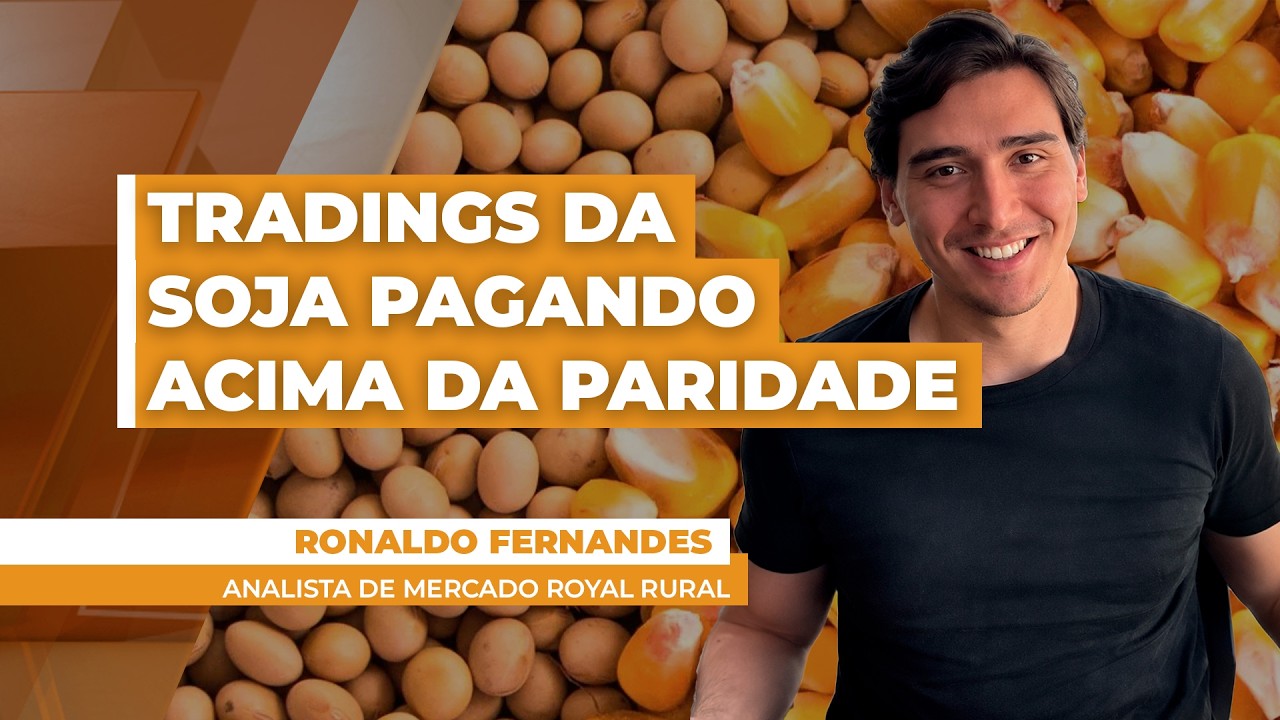 Semana foi de tradings da soja pagando acima da paridade de exportação, garantindo boas oportunidade