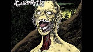 Silence of Darkness (Exmortis)