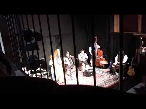 Vom Rebstock zum Wein von Hans Dreisiebner