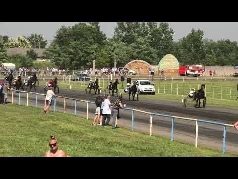 Despotovo-16.07.2023, Akarat & M. Golubović