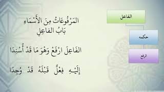 شرح نظم الآجرومية مع التشجير //48//الشيخ محمد محمود الشنقيطي image