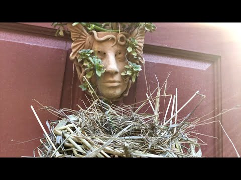 A spell for manifesting a home.