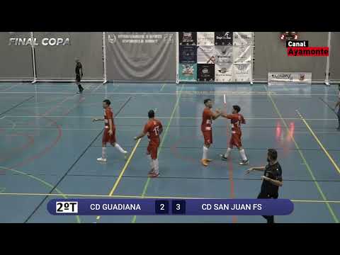 RESUMEN FINAL COPA ANDALUCIA IDA GUADIANA - SAN JUAN (20-11-2024)