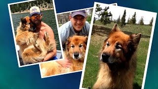 Dr. Travis Shares His Love for His Beloved Dog Nala