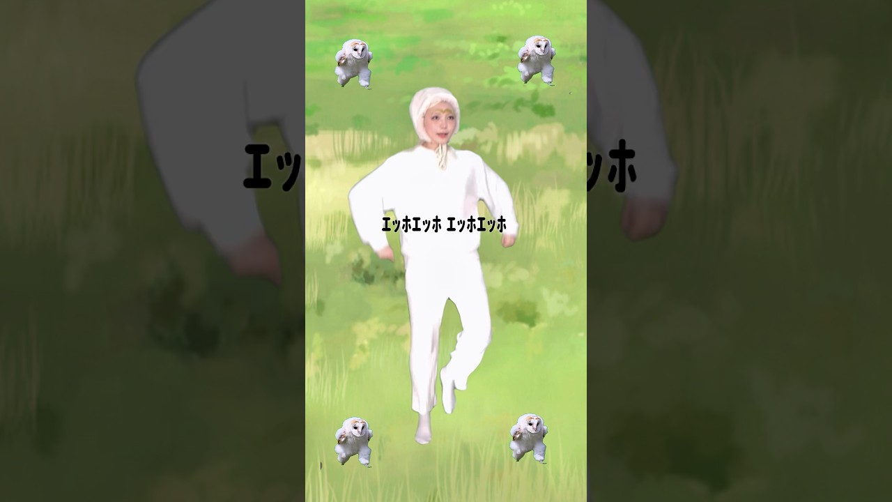 ｴｯﾎｴｯﾎの歌作ってみた。