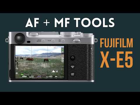 Fujifilm X-E5 Focus Guide: Autofocus & Manual Tools
