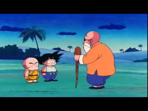 Las Artes Marciales Segun El Maestro Roshi