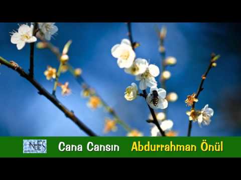 Abdurrahman Önül - Cana Cansın  Video klip 2015 orjinal