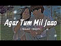 Agar Tum Mil Jaao Slowed Reverb Shreya Goshal Hindi Lofi