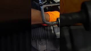 Ford Crown Victoria. 2009 4.6 NO Prendía Solución Nuevo Crankshaft Sensor
