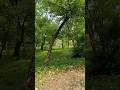Jis Path Pe Chala