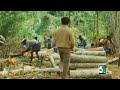 Captain Prabhakaran Best Movie Scene Tamil Vijaykanth