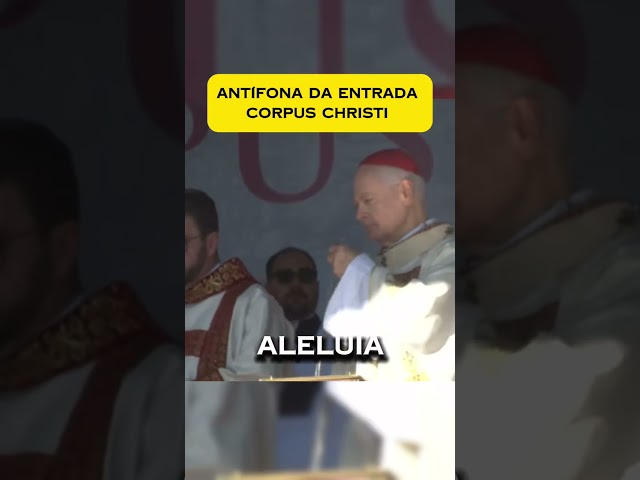 Preview do vídeo