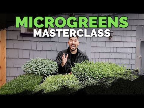 , title : 'How to Grow Microgreens from Start to Finish (COMPLETE GUIDE)'