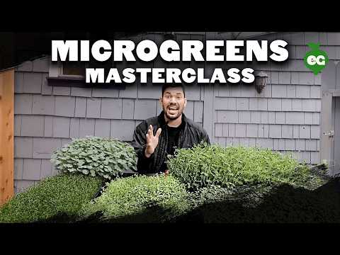 , title : 'How to Grow Microgreens from Start to Finish (COMPLETE GUIDE)'