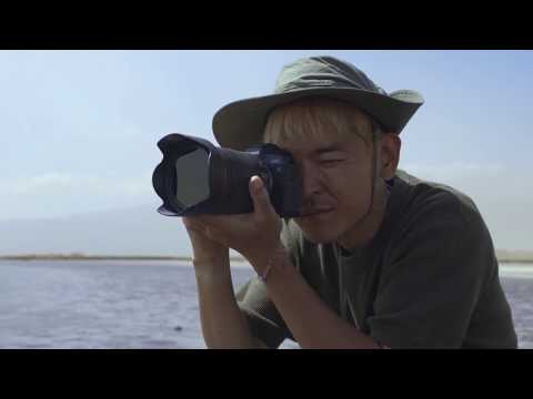 Canon EOS R korpusas video