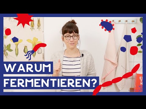 Warum Fermentieren? I 🌱 Gesund oder nur Modetrend?
