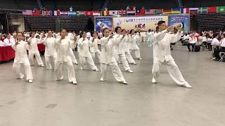2018年第七屆世界盃太極拳錦標賽九九太極拳團體組 冠軍 與陳泮嶺家族的陳曉怡老師組隊紀念
