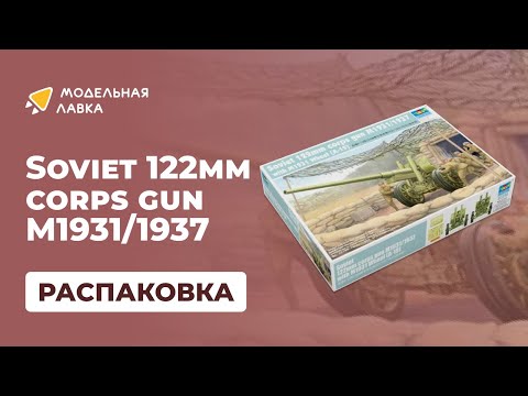 CBD for Cats Video Preview